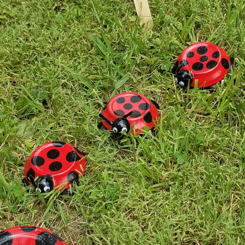 Red Ladybugs Set Of 6